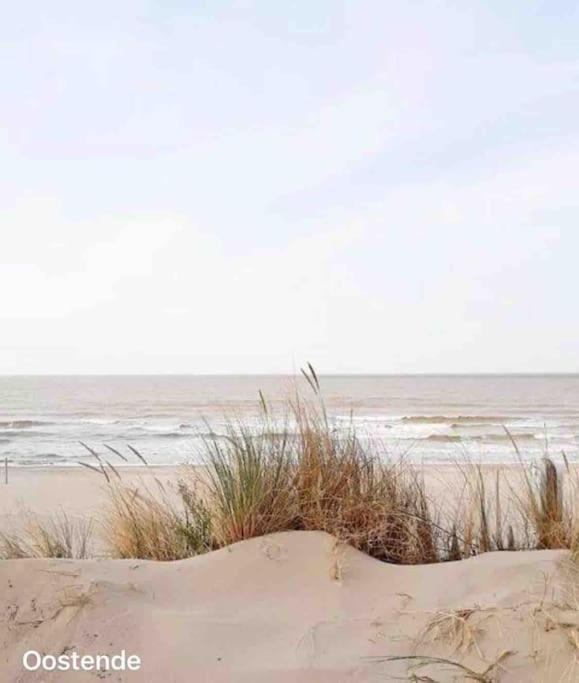 Ostend Chic, Luxe Loftstijl In Oostende Экстерьер фото